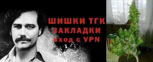 крисы Аркадак