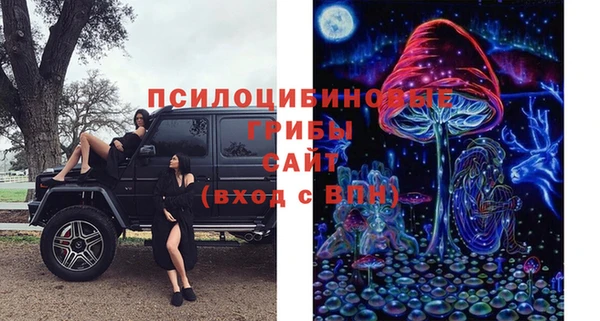 крисы Аркадак