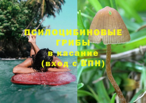 крисы Аркадак