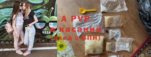 крисы Аркадак