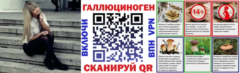 Галлюциногенные грибы Psilocybe  ссылка на мегу зеркало  Салехард  наркотики 