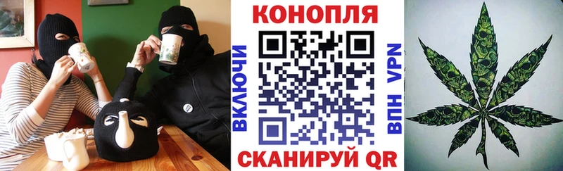 Шишки марихуана сатива  закладка  Салехард 